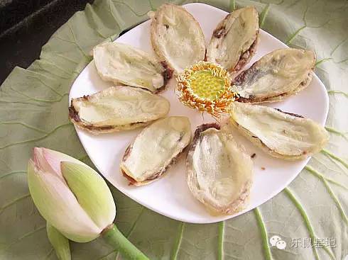 莲花很美,莲花应该怎么吃