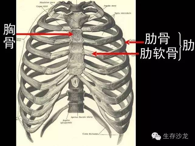 一人溺水五人施救,人溺水到溺亡全过程
