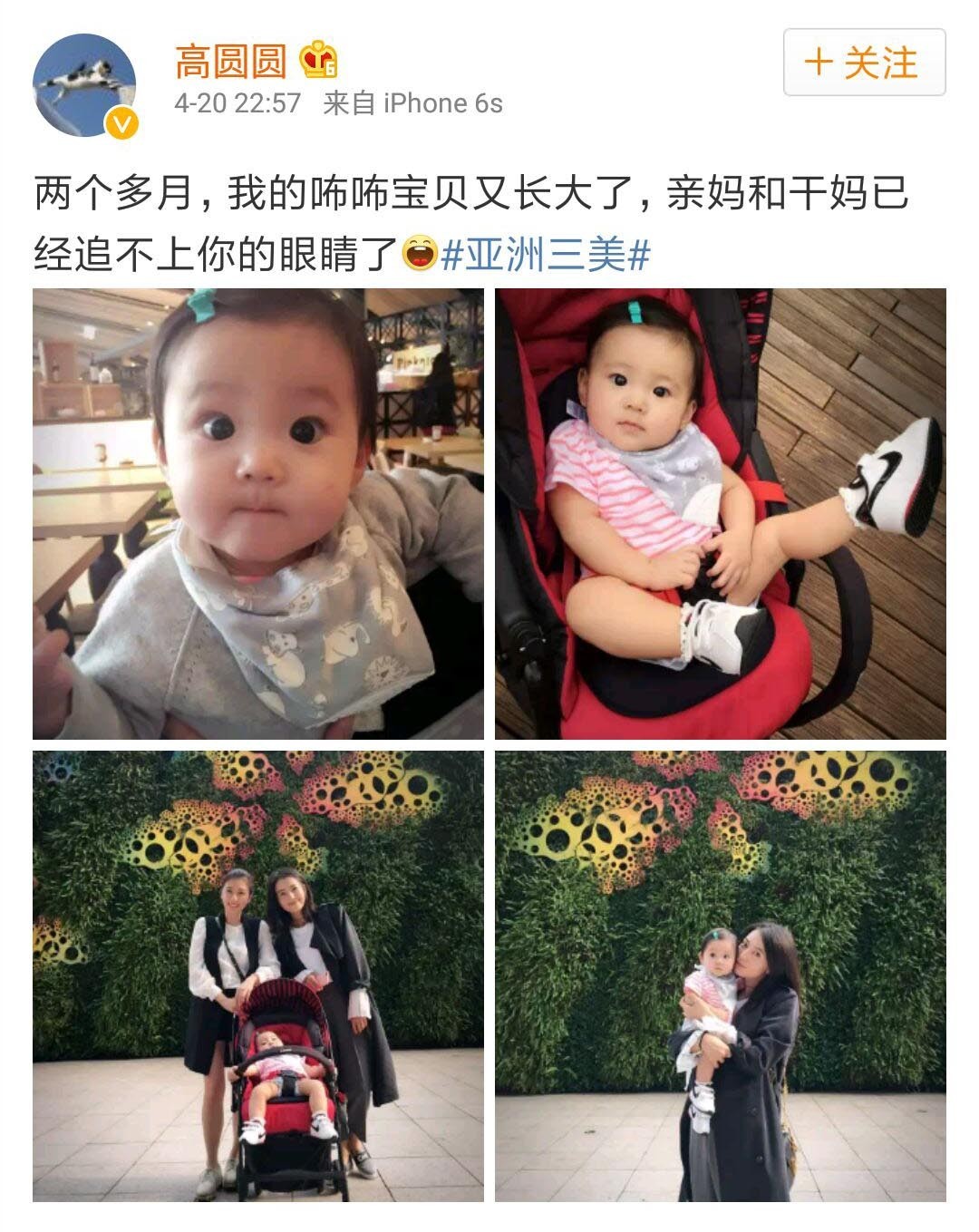 赵又廷对高圆圆的痴情有多深,赵又廷为什么爱赵薇