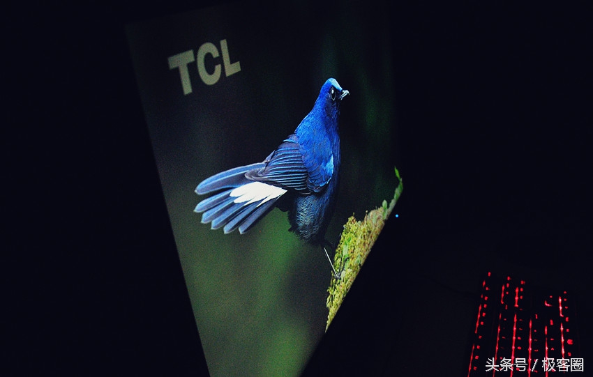 推荐几款设计用的显示器,入门级设计类显示器