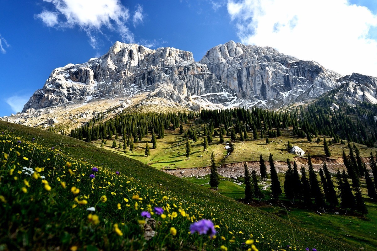 险过独库，美过101，伊犁还私藏着这样一条经典之路！