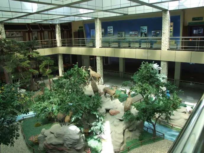 五一可以带孩子去银川吗,银川真的适合带孩子去吗