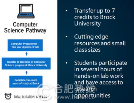 加拿大留学布鲁克好吗,加拿大布鲁克大学
