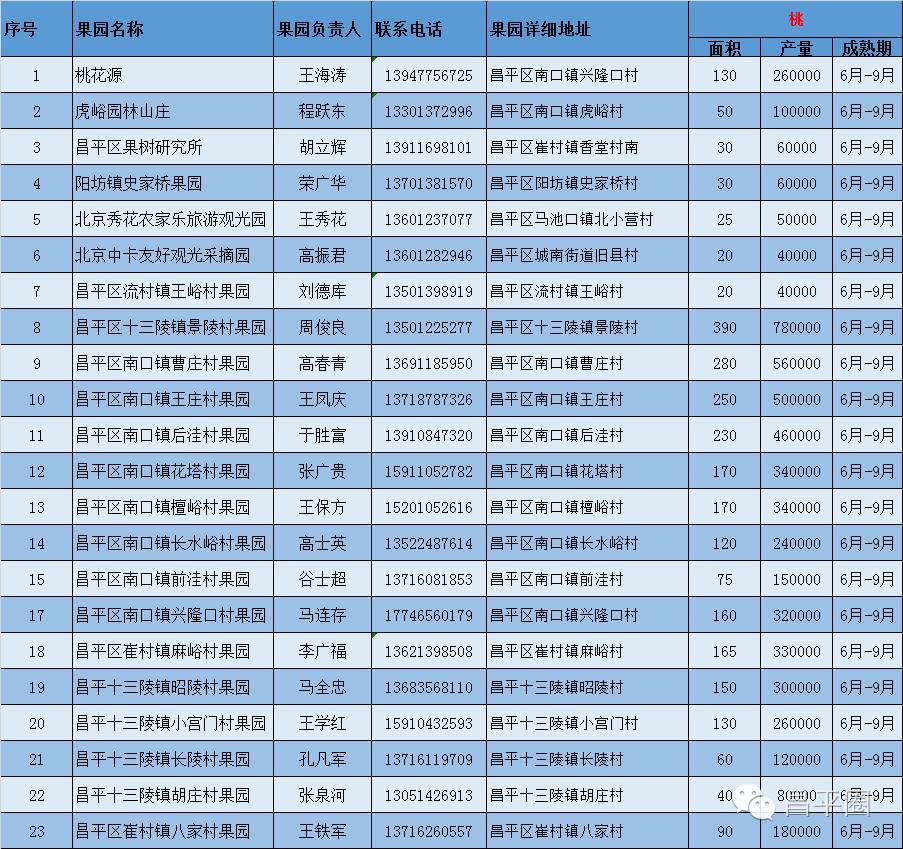 永定区冬桃新鲜采摘等你来,果园现摘冬桃脆甜