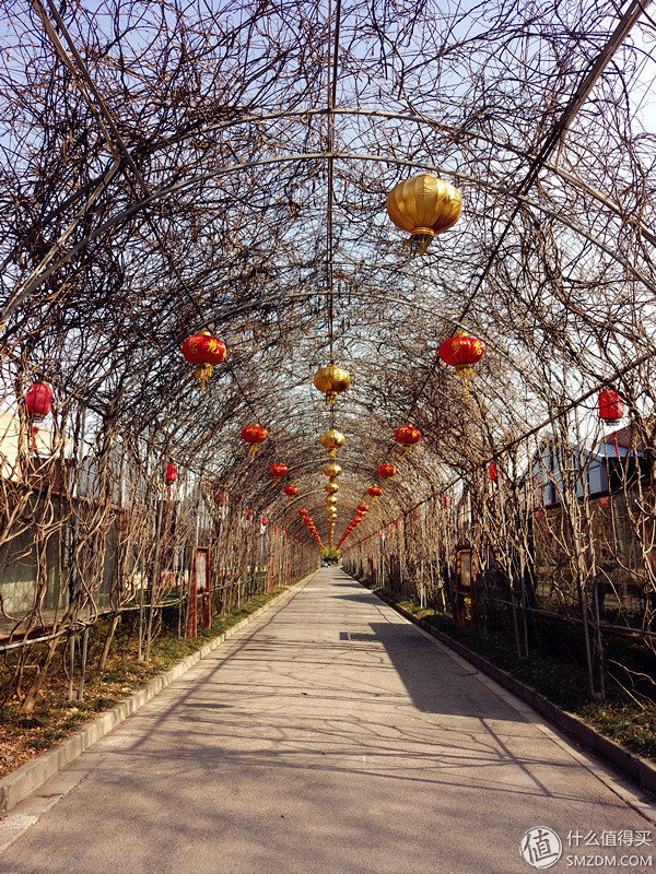 v4美图手机怎么样,美图v4手机怎么样