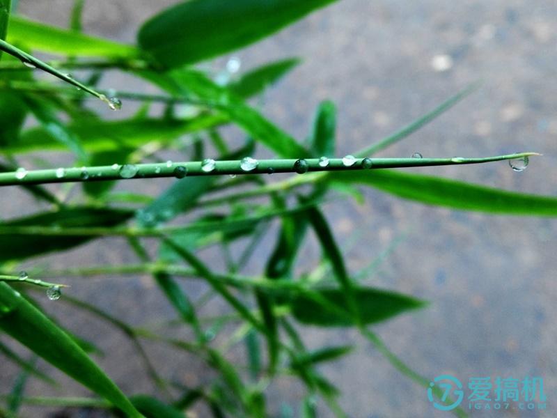 iqooneo7se和荣耀x50拍照哪个好,荣耀7i和小米5对比