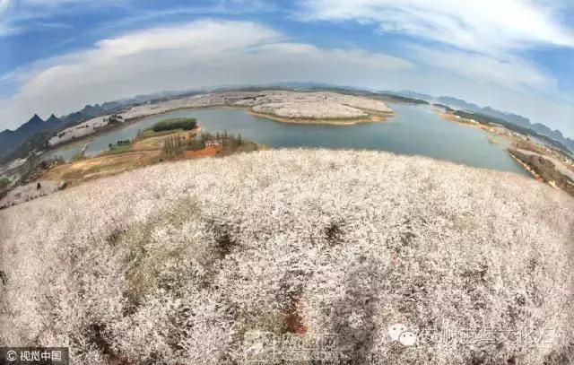 安顺夏天避暑度假有哪些去处,安顺体验21度的夏天