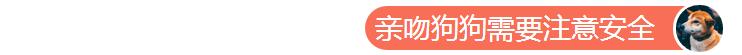 狗狗亲主人的脸是代表什么意思,为什么狗狗总喜欢亲我的嘴巴
