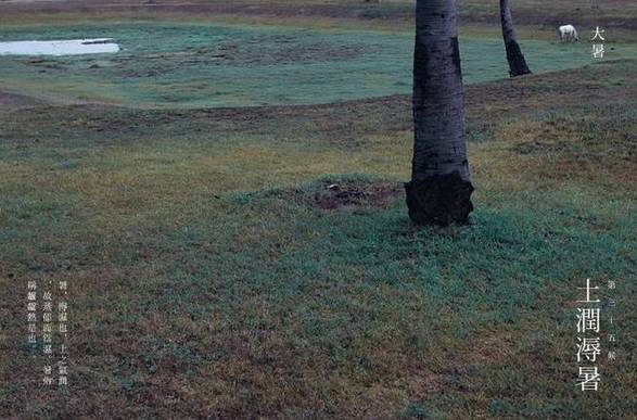 特刊|大暑·致LL—精灵的跳跃与隐匿