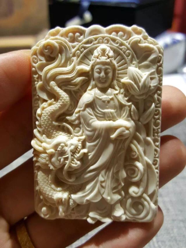 为什么猛犸象牙早晚都得裂,猛犸象牙见太阳容易裂不