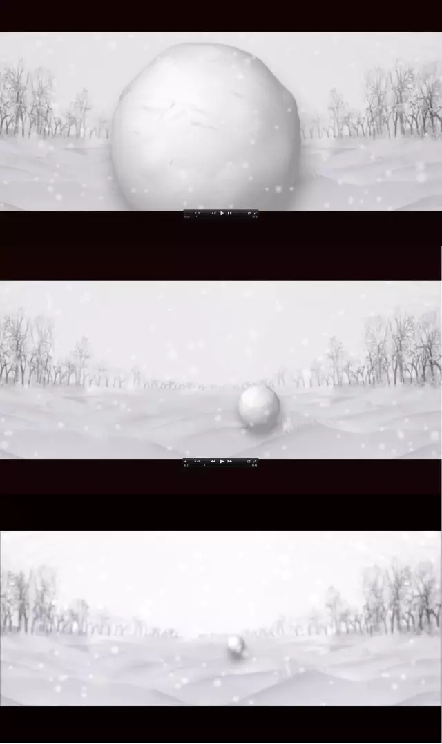 应对世界的入世方案——张锰