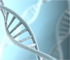 卵巢早衰如何备孕成功率高,卵巢早衰如何保养呢