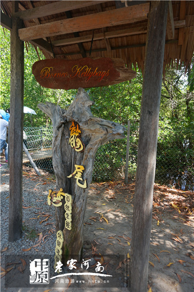 玩美假期马来西亚旅游,六日沙巴自由行攻略