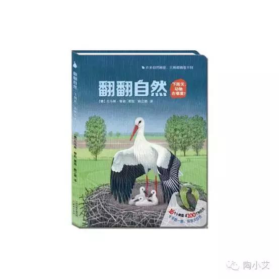 下雨天最适合带孩子做什么?坐在窗前看雨听故事(下雨主题绘本)