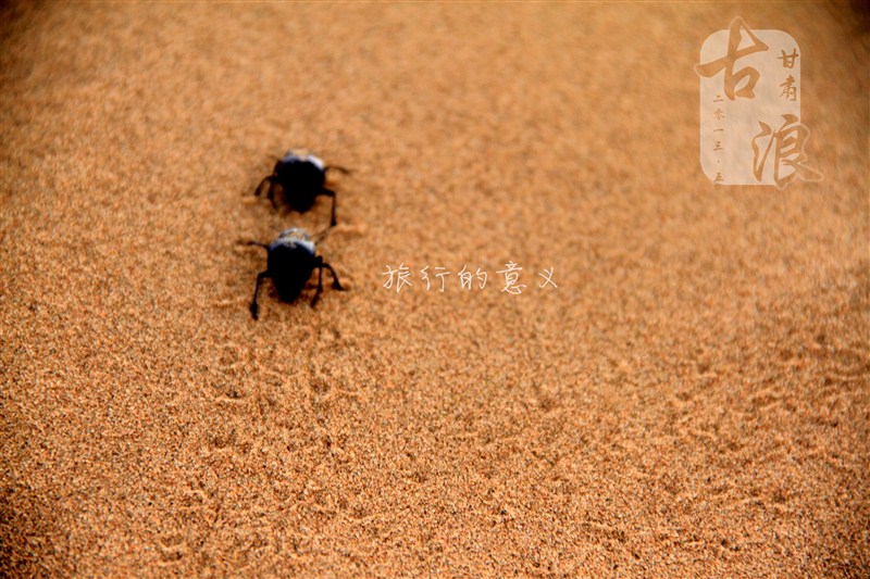 一个说走就走的地方,古浪著名的地方