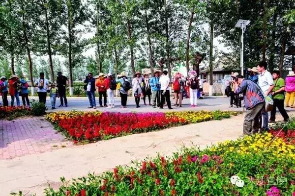 五载流金岁月　铸就风华大洼