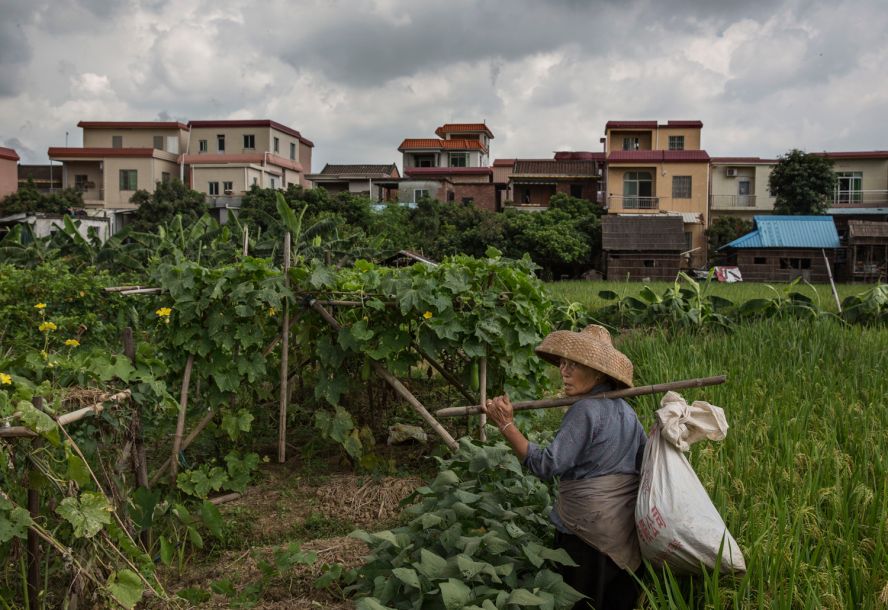 科学家尝试给蚊子做绝育,如何给一只蚊子做绝育
