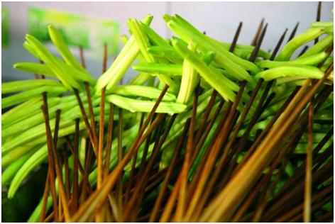 李记称盘串串,李记称盘串串火锅料