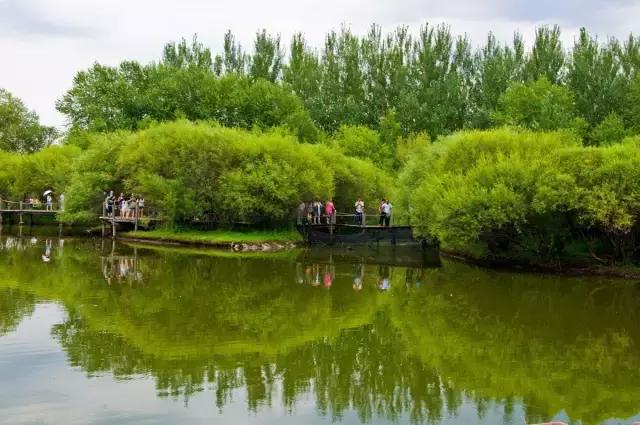 你心中的哈尔滨是什么样的,哈尔滨是个什么样的地方