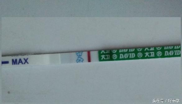 抓住排卵时机备出好孕,抓住有利时机和契机