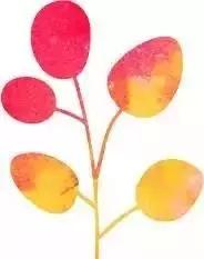 七夕开车去约会,七夕开车约会指南