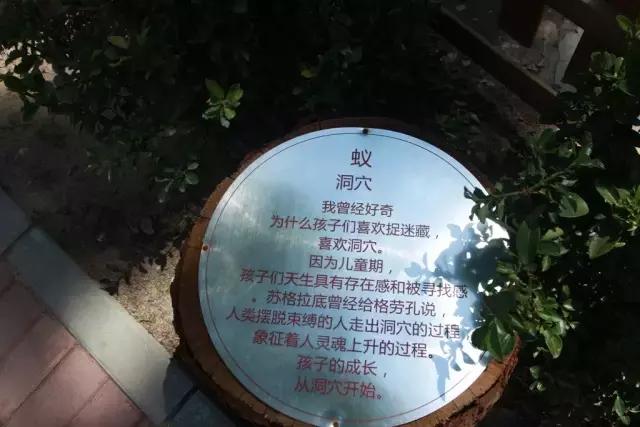 北京稻香湖景酒店儿童乐园,稻香湖欢乐岛温泉城堡儿童乐园