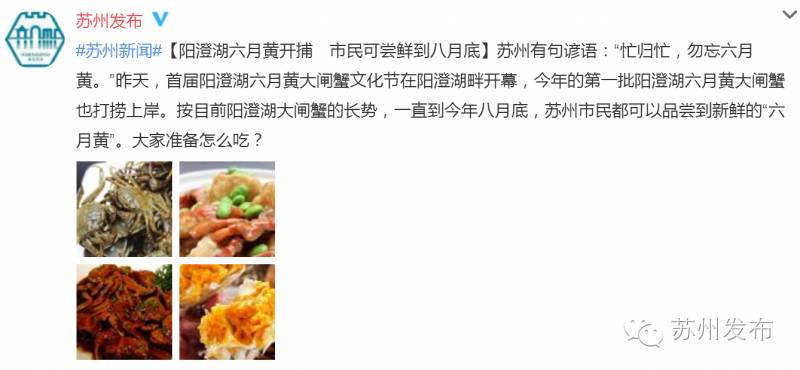 六月黄，令苏州人“魂牵梦萦”的那一口鲜嫩浓香的黄金膏油~来了！