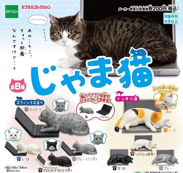 萌物东西推荐,什么萌物好看