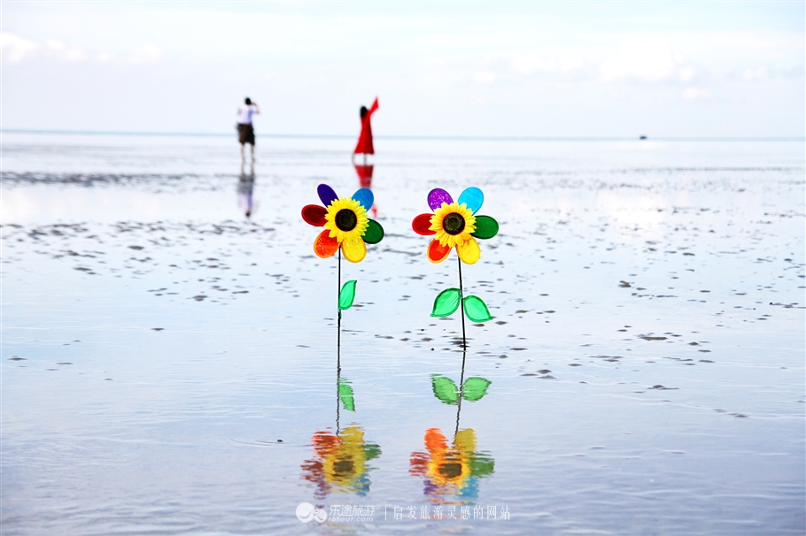 放学别走！雪兰莪喊你去补生物课！