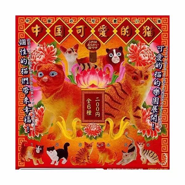 什么萌物好养又干净又便宜,萌物推荐