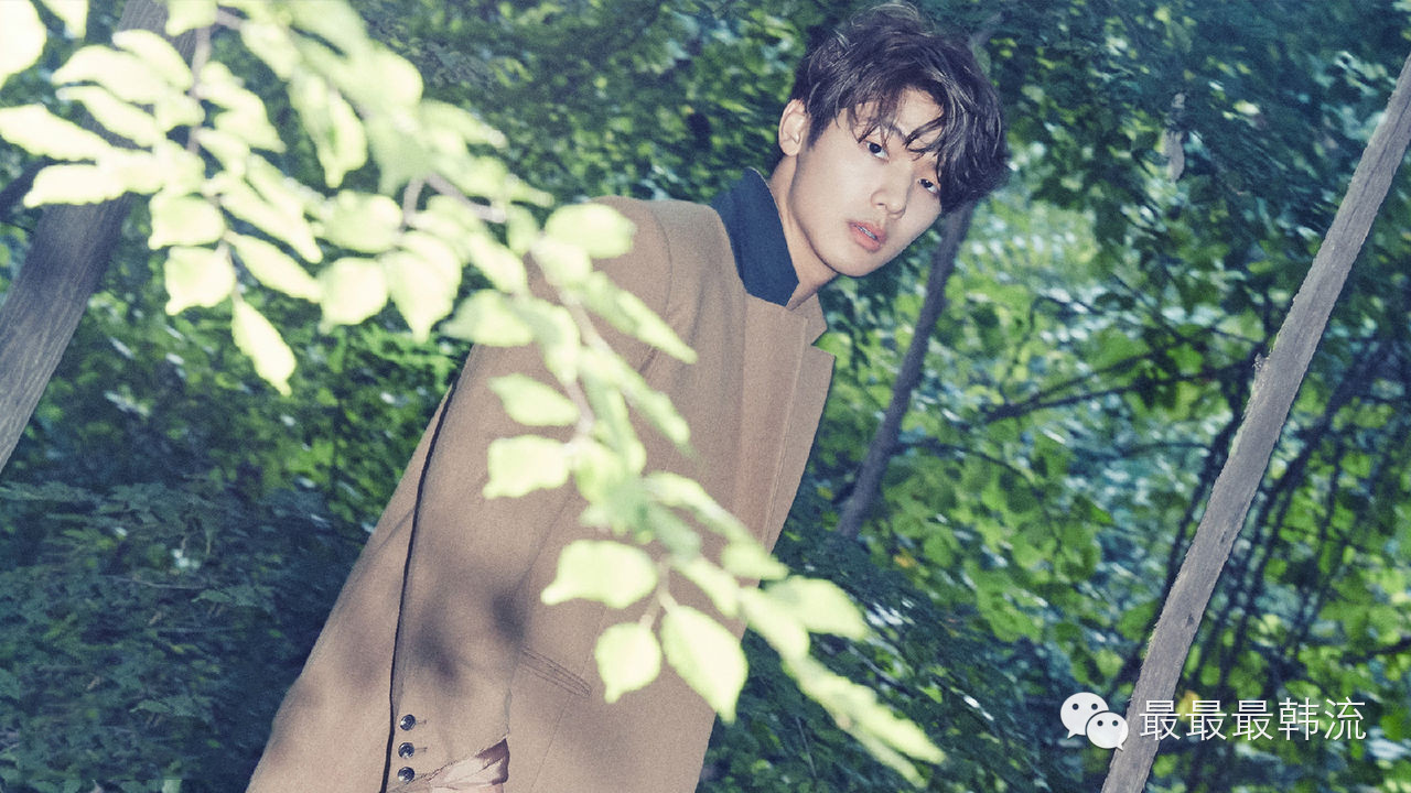 我们相爱很多年为什么就离别了,我们相爱很多年是哪首歌歌词