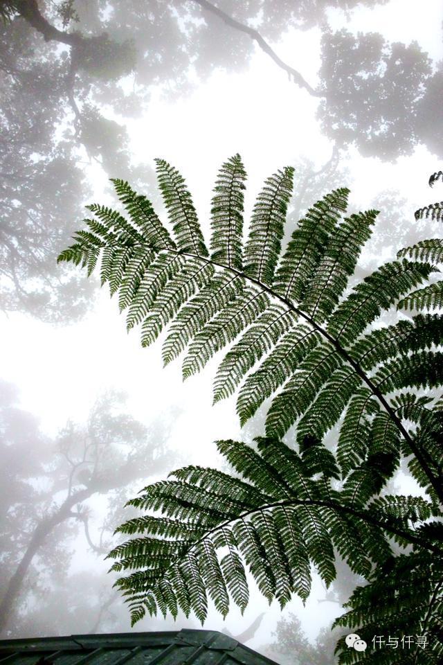 马来西亚pengerang旅游攻略,沙巴旅游自由行十大必去景点