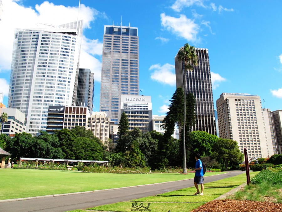 悉尼是啥味道,悉尼盐蚝