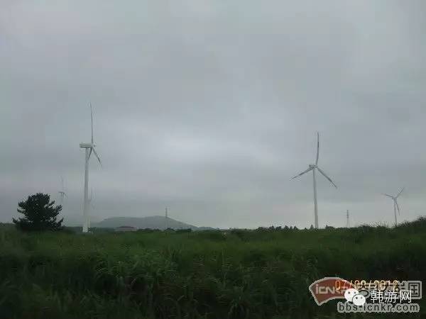 中国人去济州岛购物,跟团去济州岛购物攻略