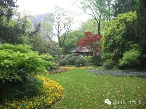 厦门最凉快的景点,厦门岛内适合烧烤的地方