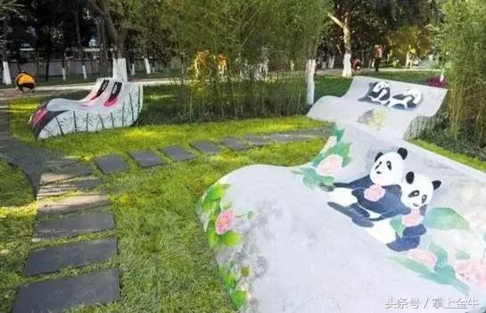 成都未来最大的足球场,成都在建的大型足球场