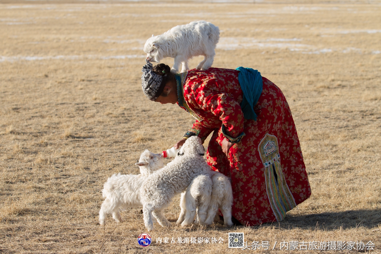 2018平遥摄影节参观攻略,平遥国际摄影大展旅游