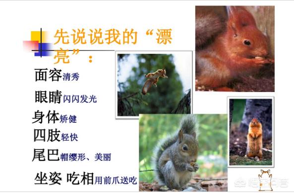 五年级作文能力如何提高？教你如何借鉴课文提高写作水平