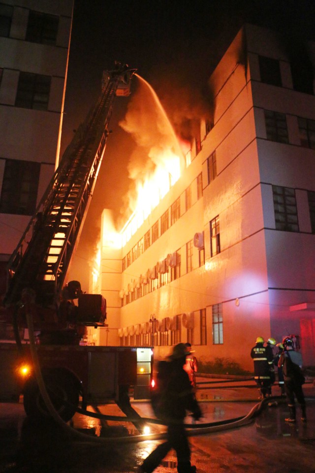 永远背对镜头的“背乐爷”