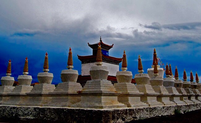红原大草原美食,去红原必吃的美食