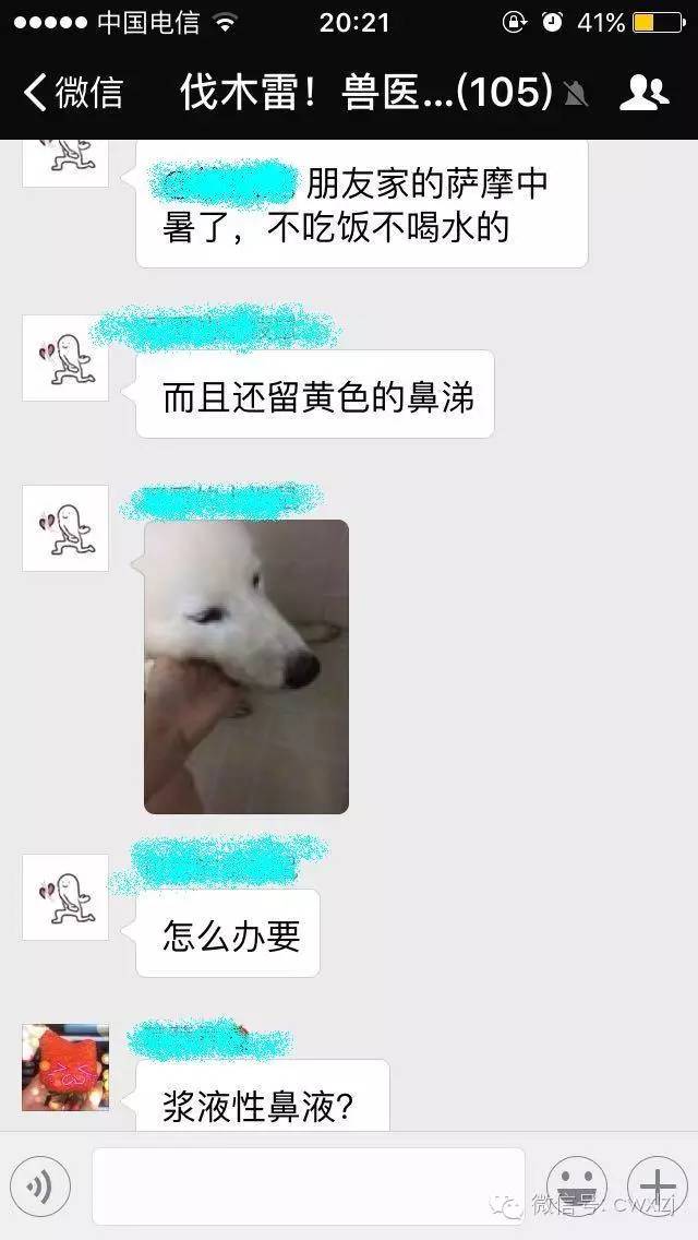 狗狗中暑有药吃吗,狗狗中暑能不能用凉水