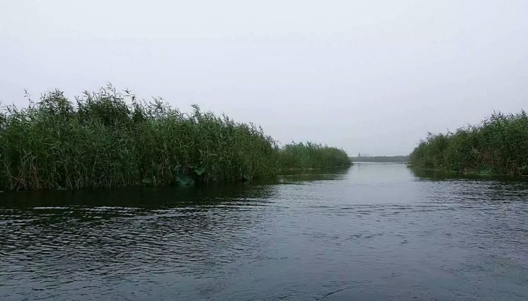 vivox7上手体验,vivox7缺点演示