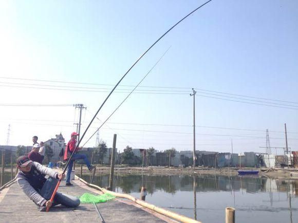 大鱼钓鲟鱼视频,钓鲟鱼视频300斤以上完整版