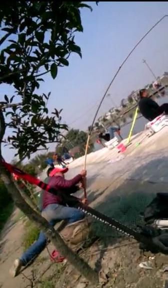 大鱼钓鲟鱼视频,钓鲟鱼视频300斤以上完整版