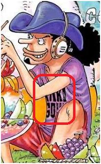 [鹰目话道]海贼王835话分析魂之国