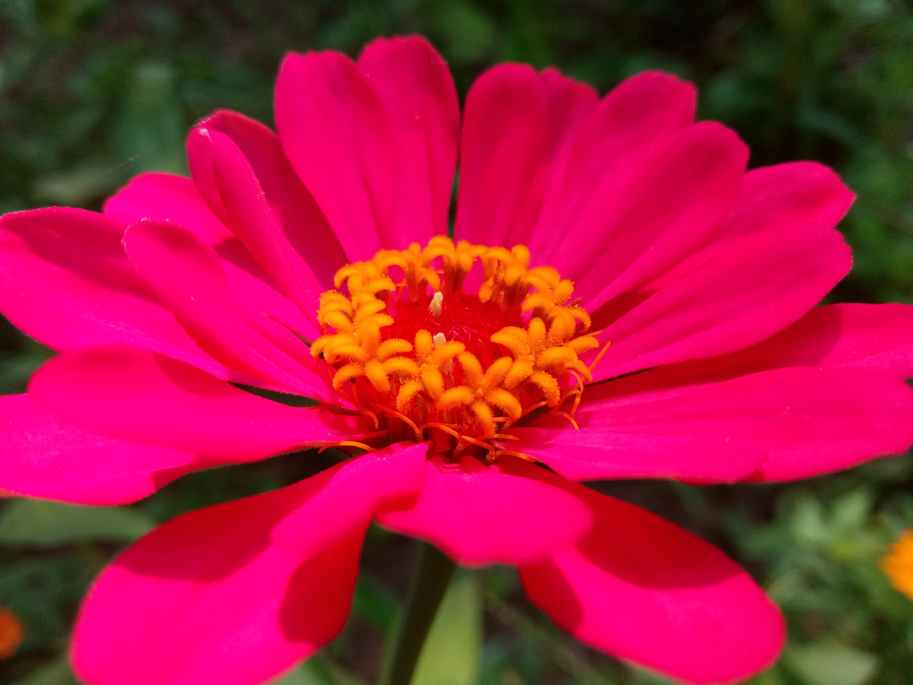 小品牌性价比电动车,酷比max5参数