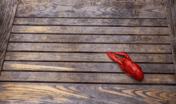 庄里最有特色的麻小全攻略，不信有人吃全过！——石家庄美食