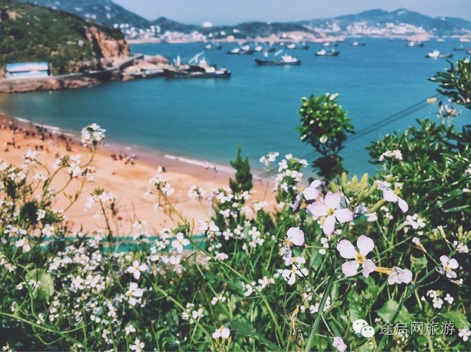 颜值高。海鲜多。距离近。这个夏天，有什么理由不去嵊泗浪一浪~