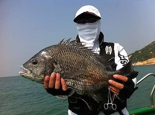 东澳岛抽鱿鱼钓点,东澳岛有哪些钓点