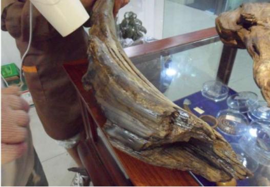 diy打蜡教程全过程,上蜡的正确方法和步骤